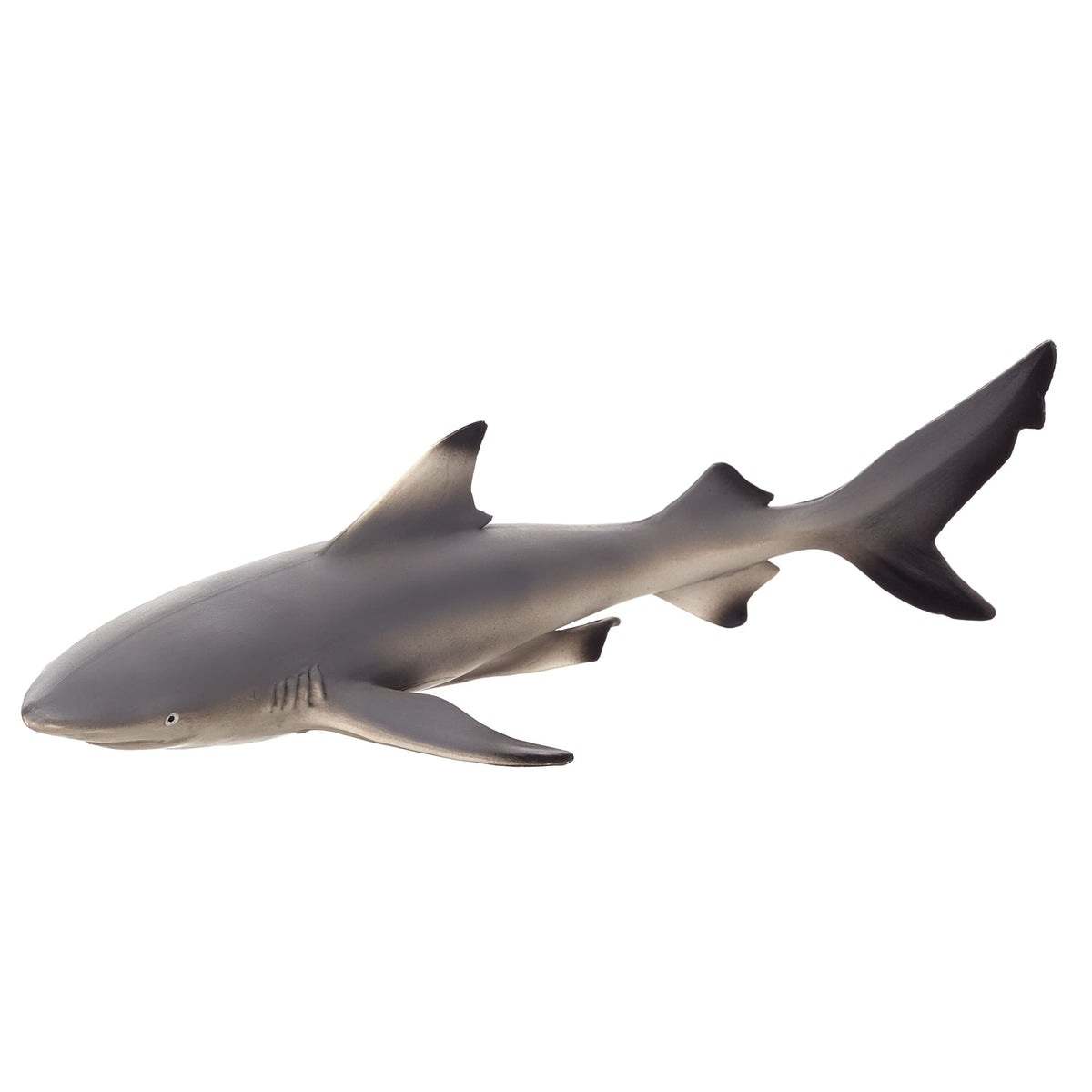 Black Tip Reef Shark Wildlife Figurine O84065