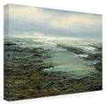 Canvas U291