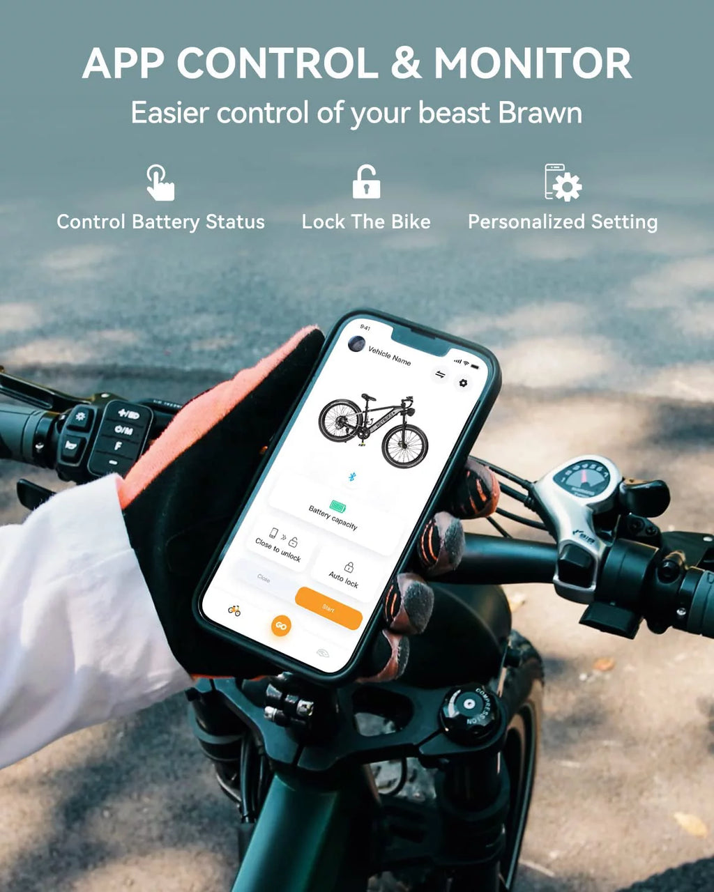 750W Fat Tire Electric Bike with 48V 18Ah Removable Battery N753