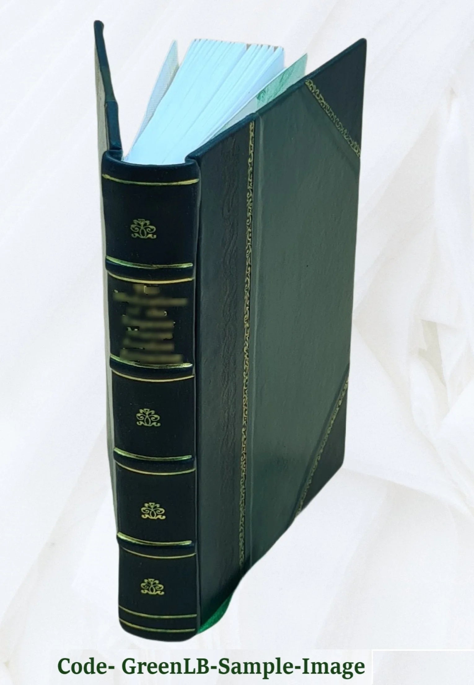 Leather Bound Book S3681