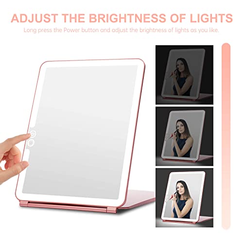 Foldable Double Sided Tabletop Mirror 10 X and 1X X412611