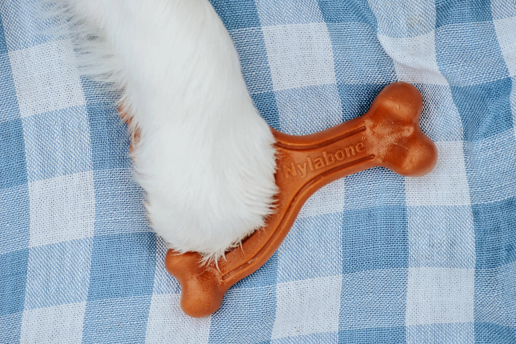 Ergonomic Power Chew Dog Toy T191
