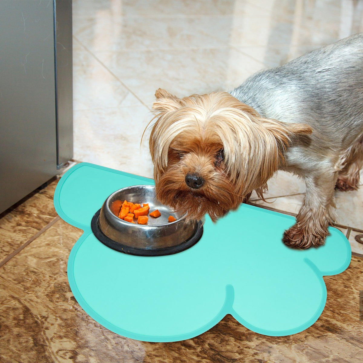 Set of 2 Silicone Pet Placemat E81353