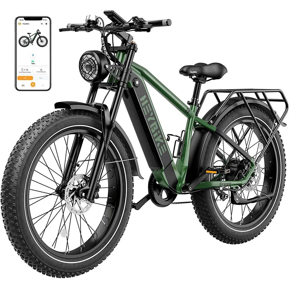 750W Fat Tire Electric Bike with 48V 18Ah Removable Battery N753