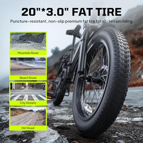 20" Fat Tire Electric Bike with 36V 7.8Ah Removable Battery V906