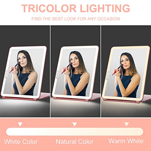 Foldable Double Sided Tabletop Mirror 10 X and 1X X412611