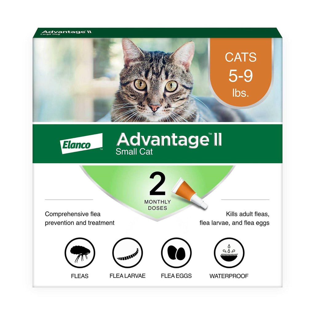 Flea Treatment for Small Cats J52540