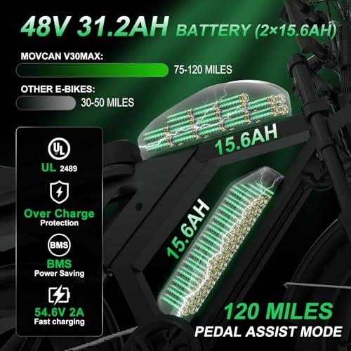 Electric Bike 20" Fat Tire Ebike 48V 20Ah Battery Hydraulic Disc Brake P786