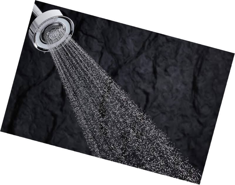 Polished Chrome Multifunction Showerhead D974669