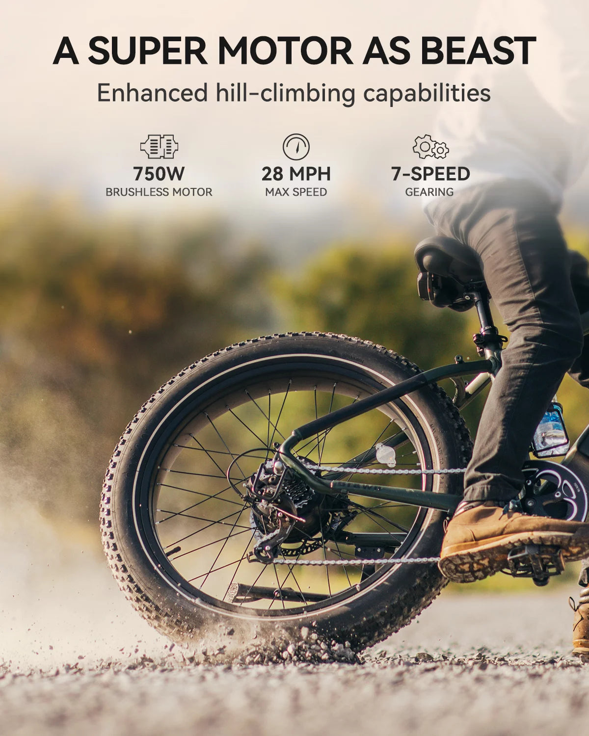 750W Fat Tire Electric Bike with 48V 18Ah Removable Battery N753