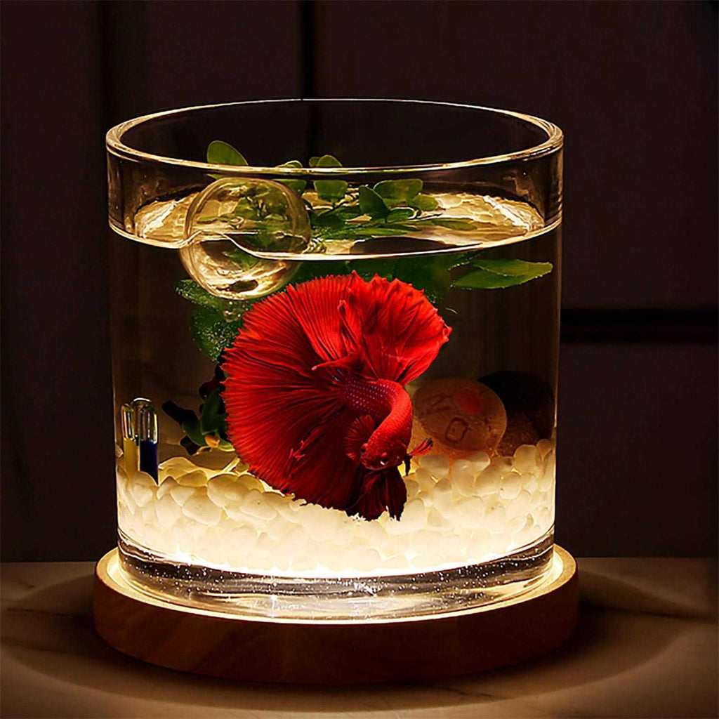 0.81-Gallon Cylindrical Fish Tank with Wooden Base LED Light Water Pump W292803