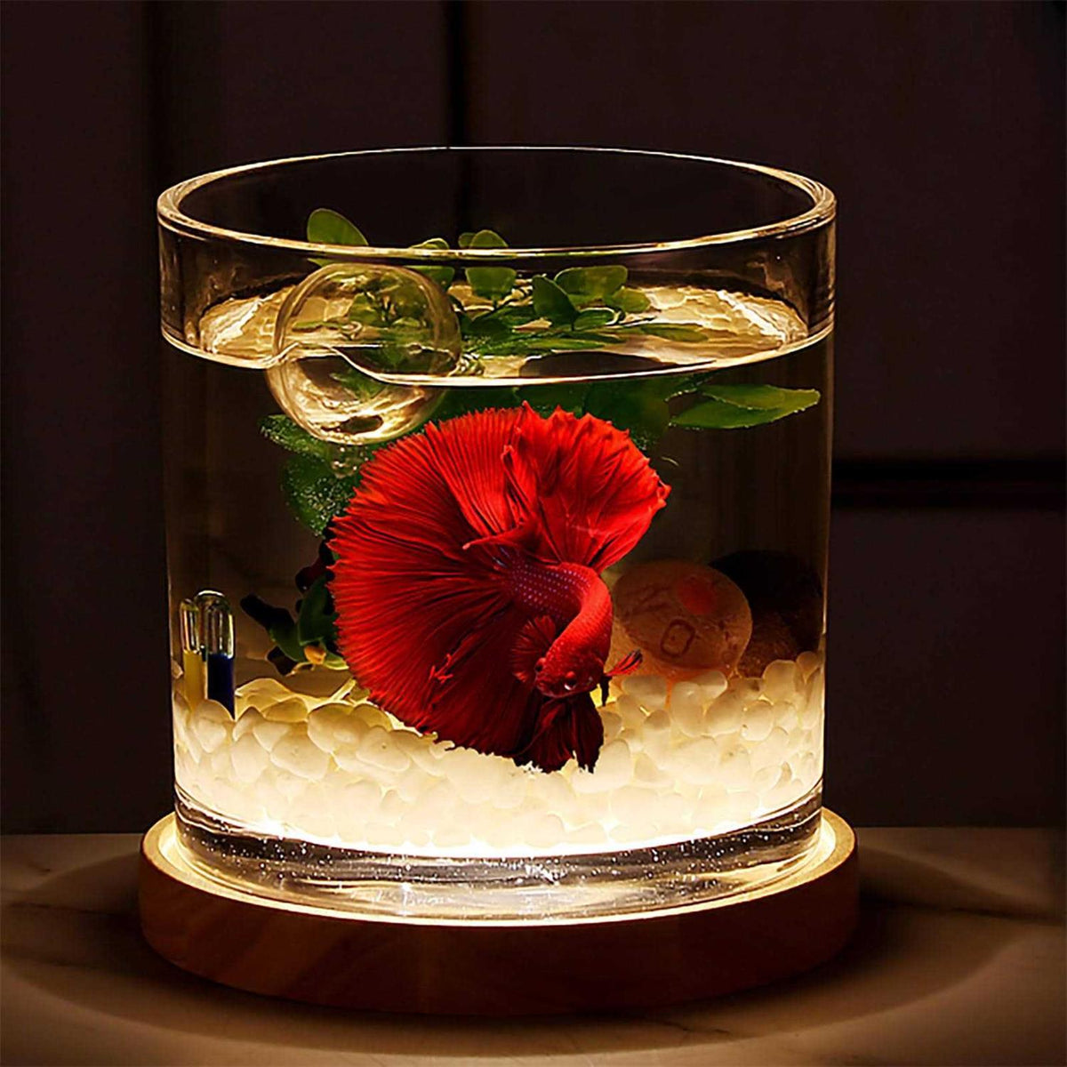 0.81-Gallon Cylindrical Fish Tank with Wooden Base LED Light Water Pump W292803