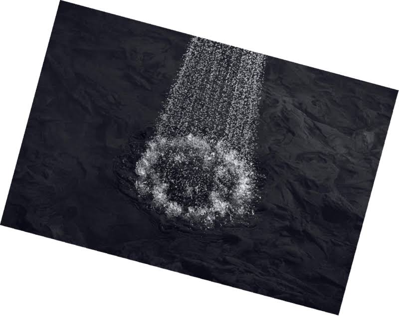 Polished Chrome Multifunction Showerhead D974669