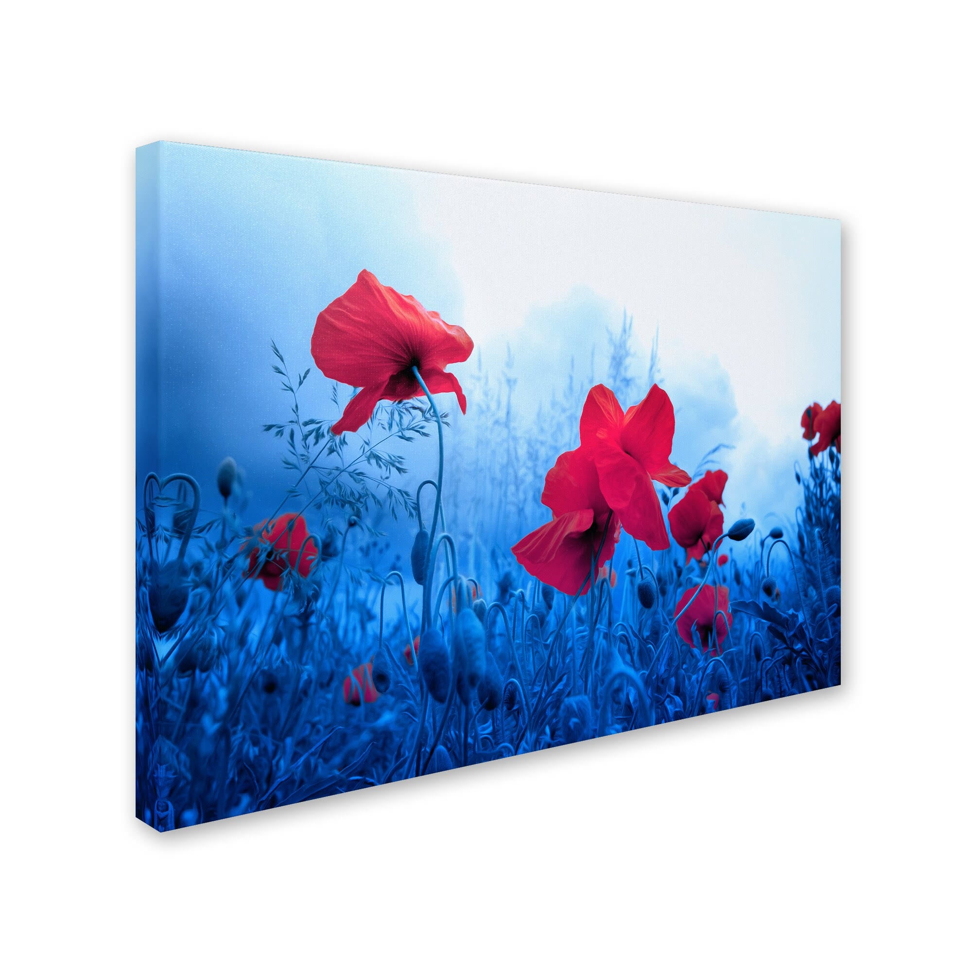 Canvas Art W105369