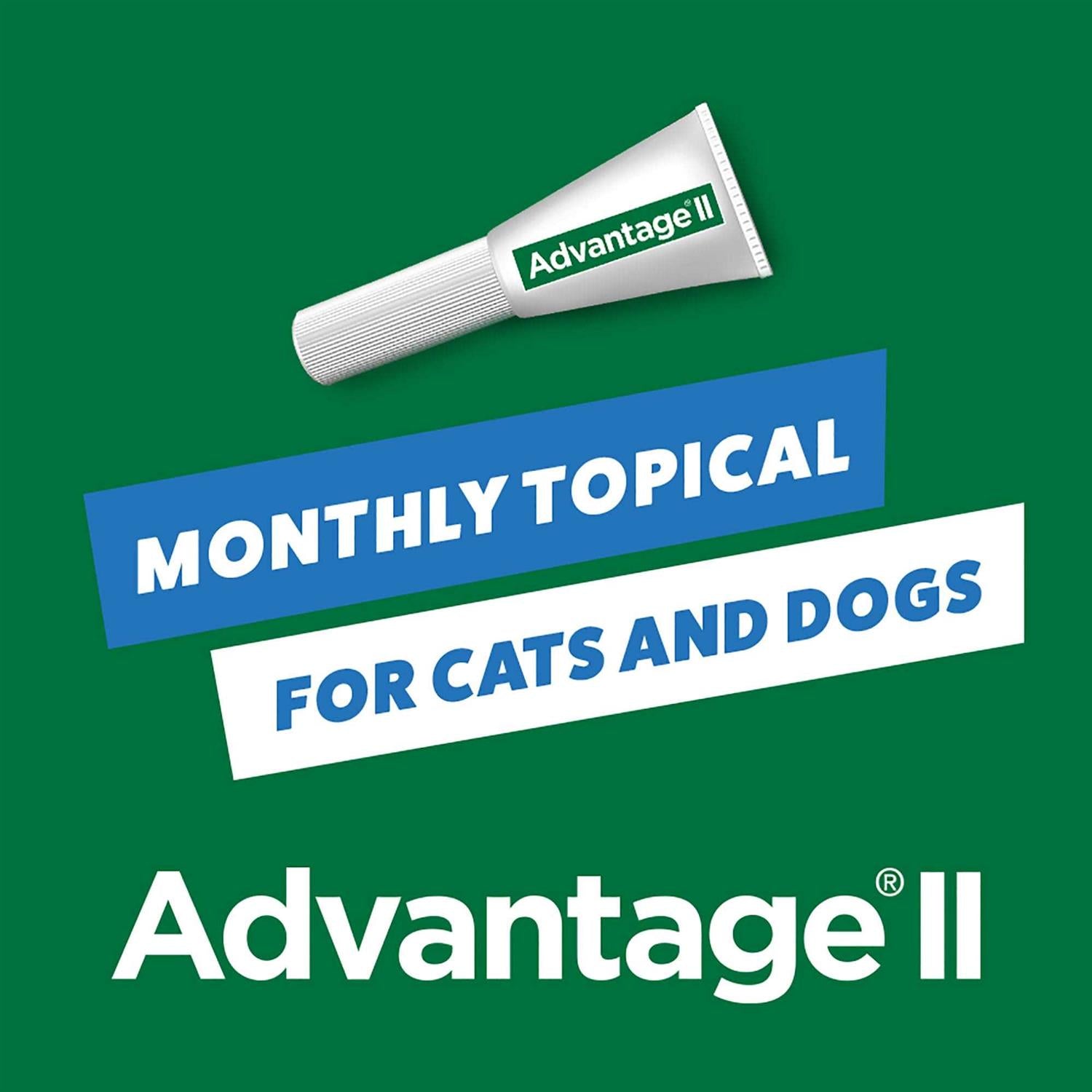 Flea Treatment for Small Cats J52540