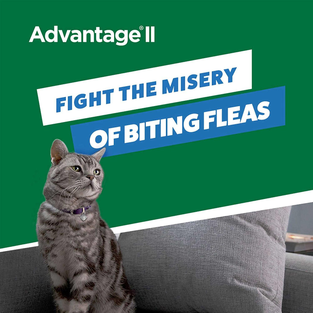 Flea Treatment for Small Cats J52540