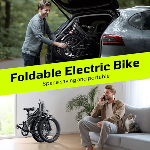 20" Fat Tire Electric Bike with 36V 7.8Ah Removable Battery V906
