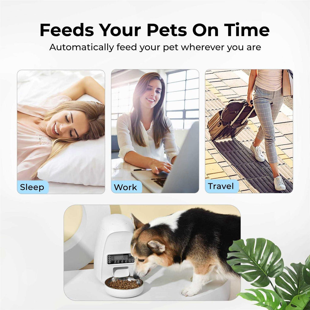 Mini Programmable Automatic Dog & Cat Feeder H548