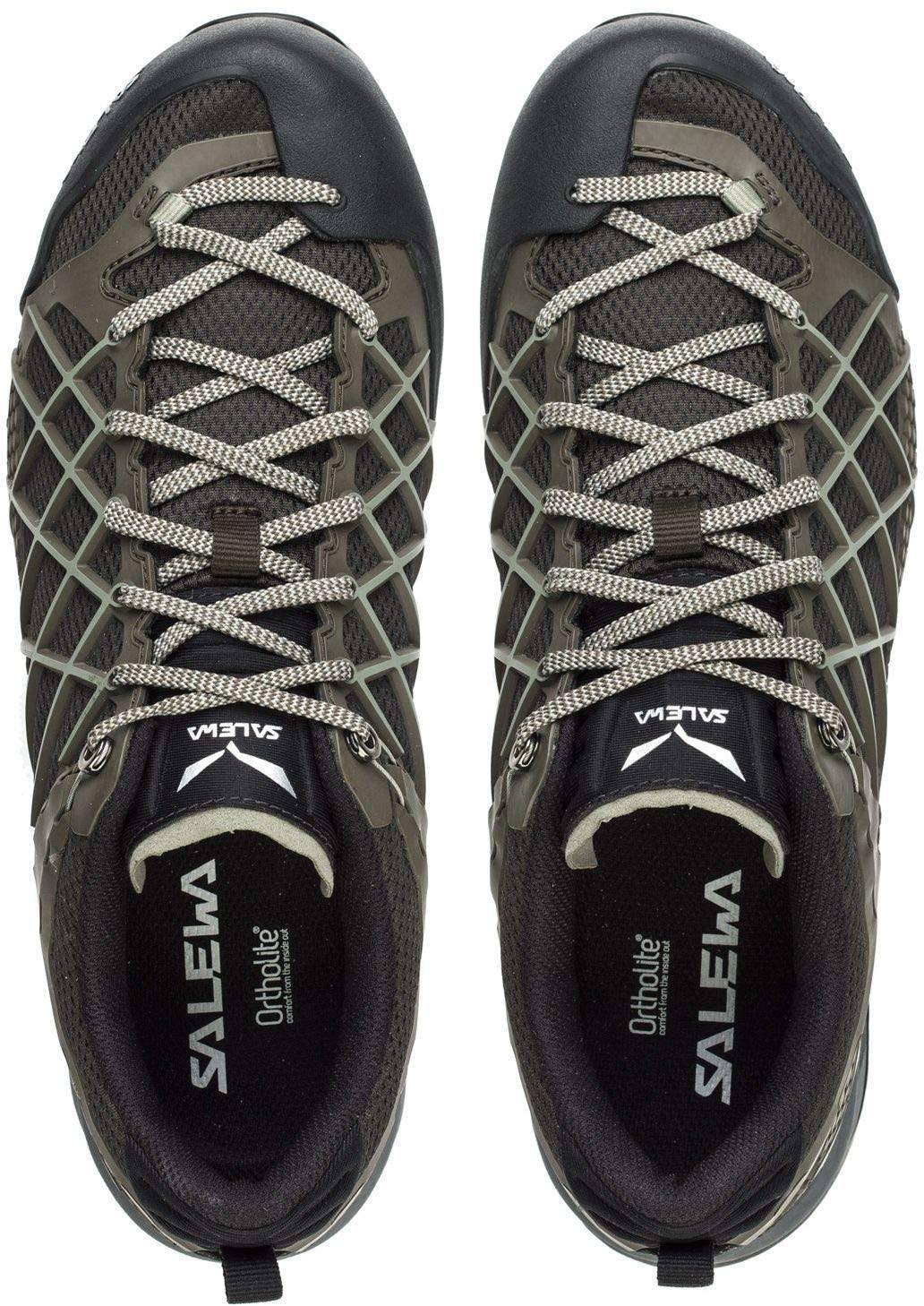 Black Olive Siberia Hiking Shoes C88114
