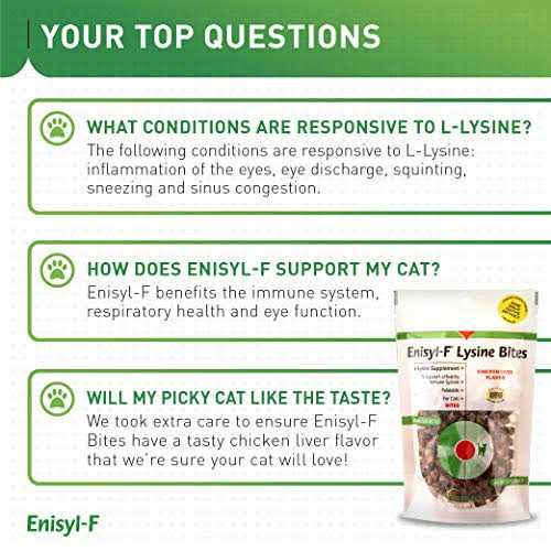 L-Lysine Chews for Cats Q80417