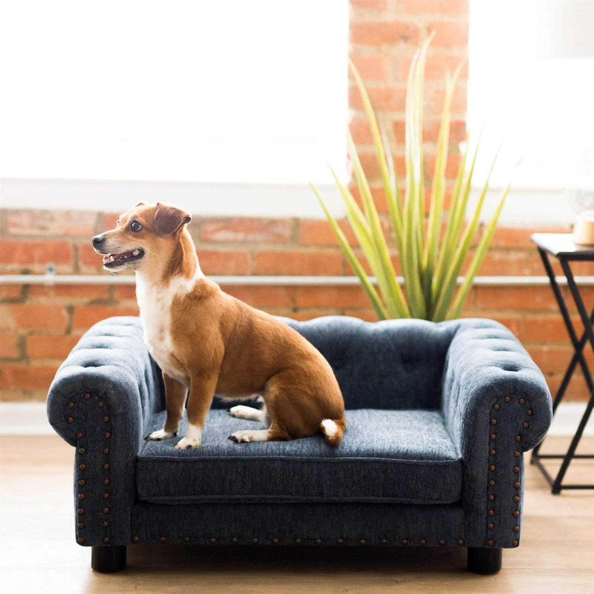 Sofa Dog Bed J396