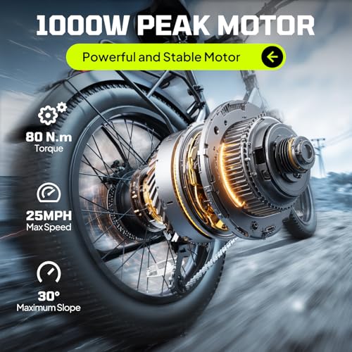20" Fat Tire Electric Bike with 36V 7.8Ah Removable Battery V906
