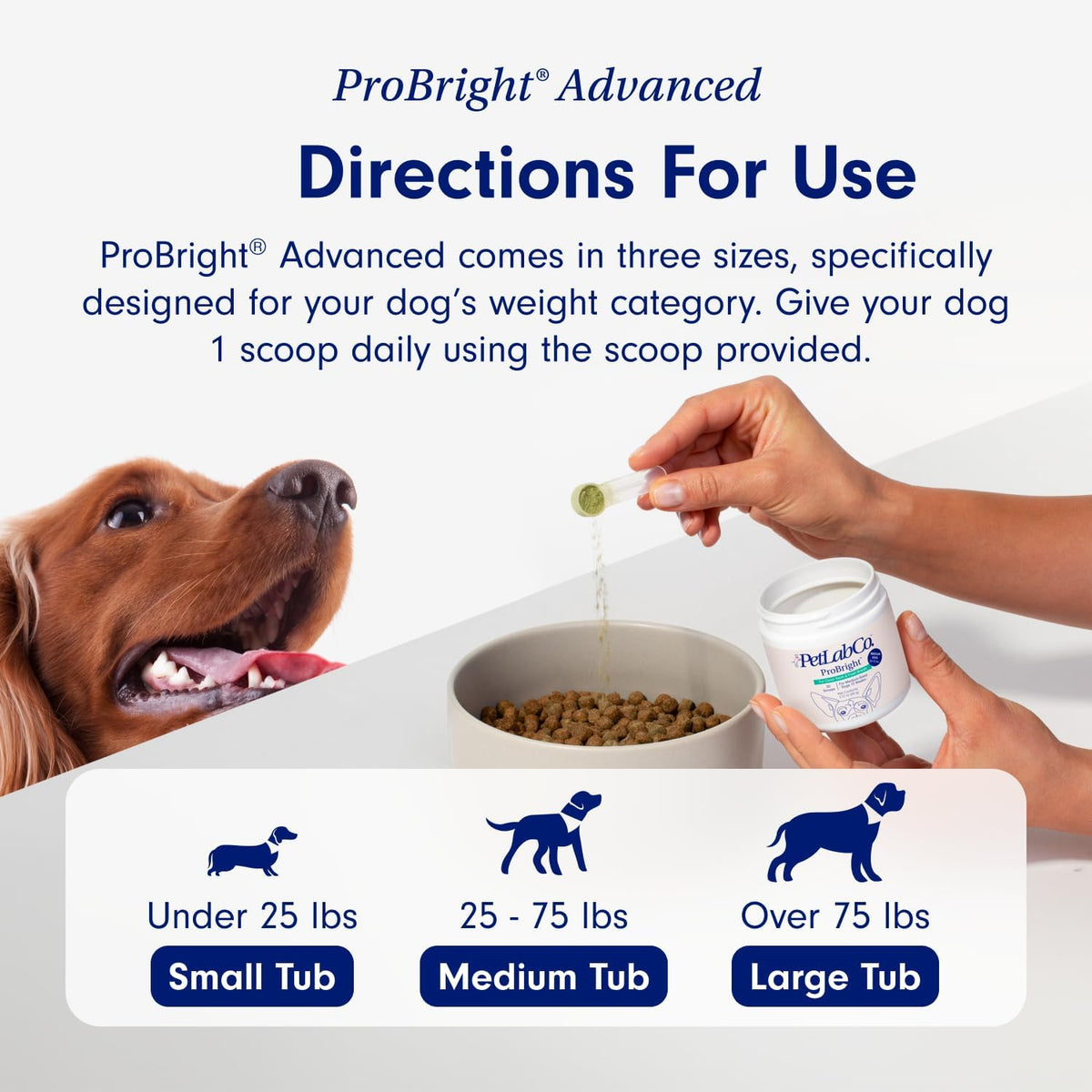 Gut & Breath Bundle: Dental Powder for Fresh Breath, Salmon Dog Probiotics M634921