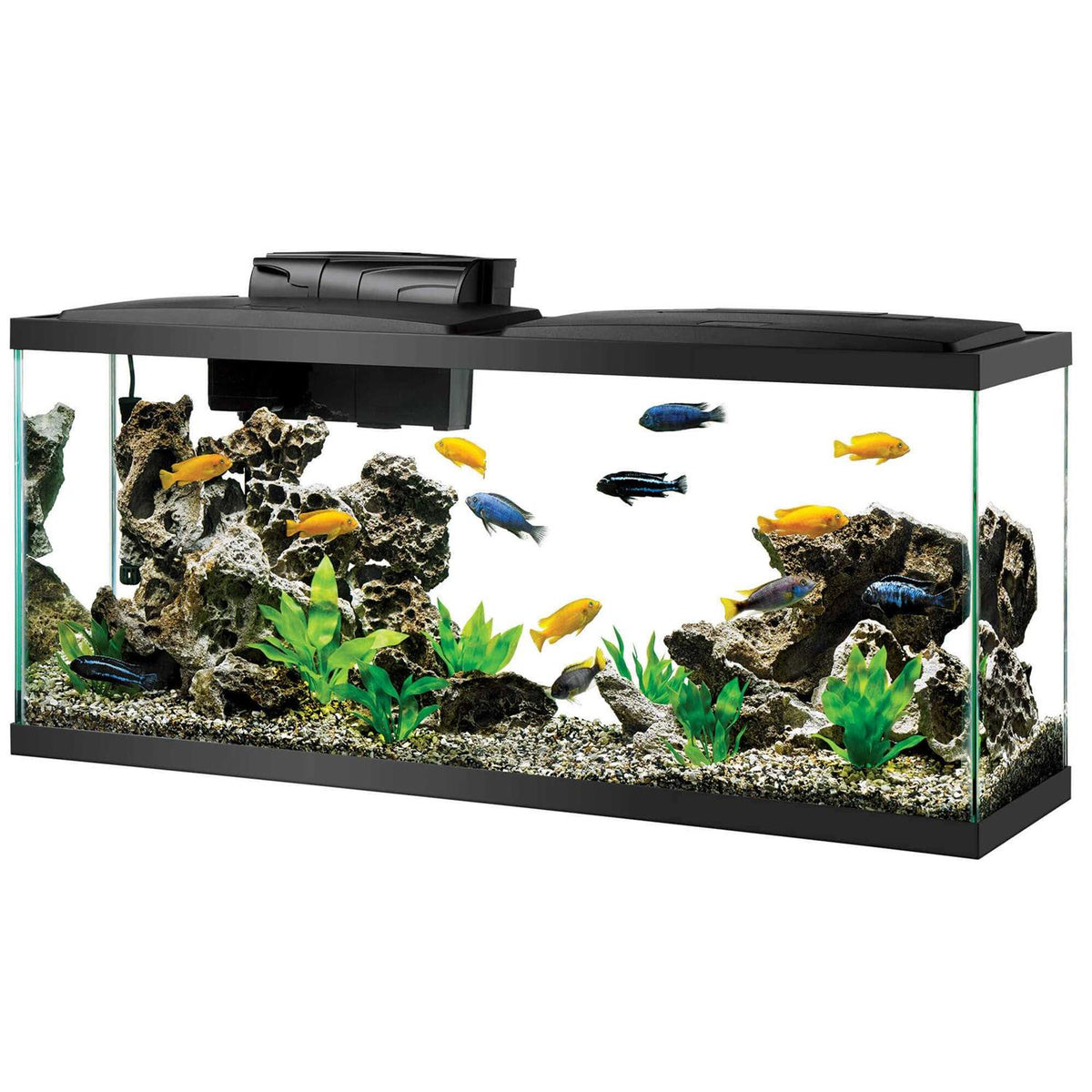 Standard Aquarium V9354