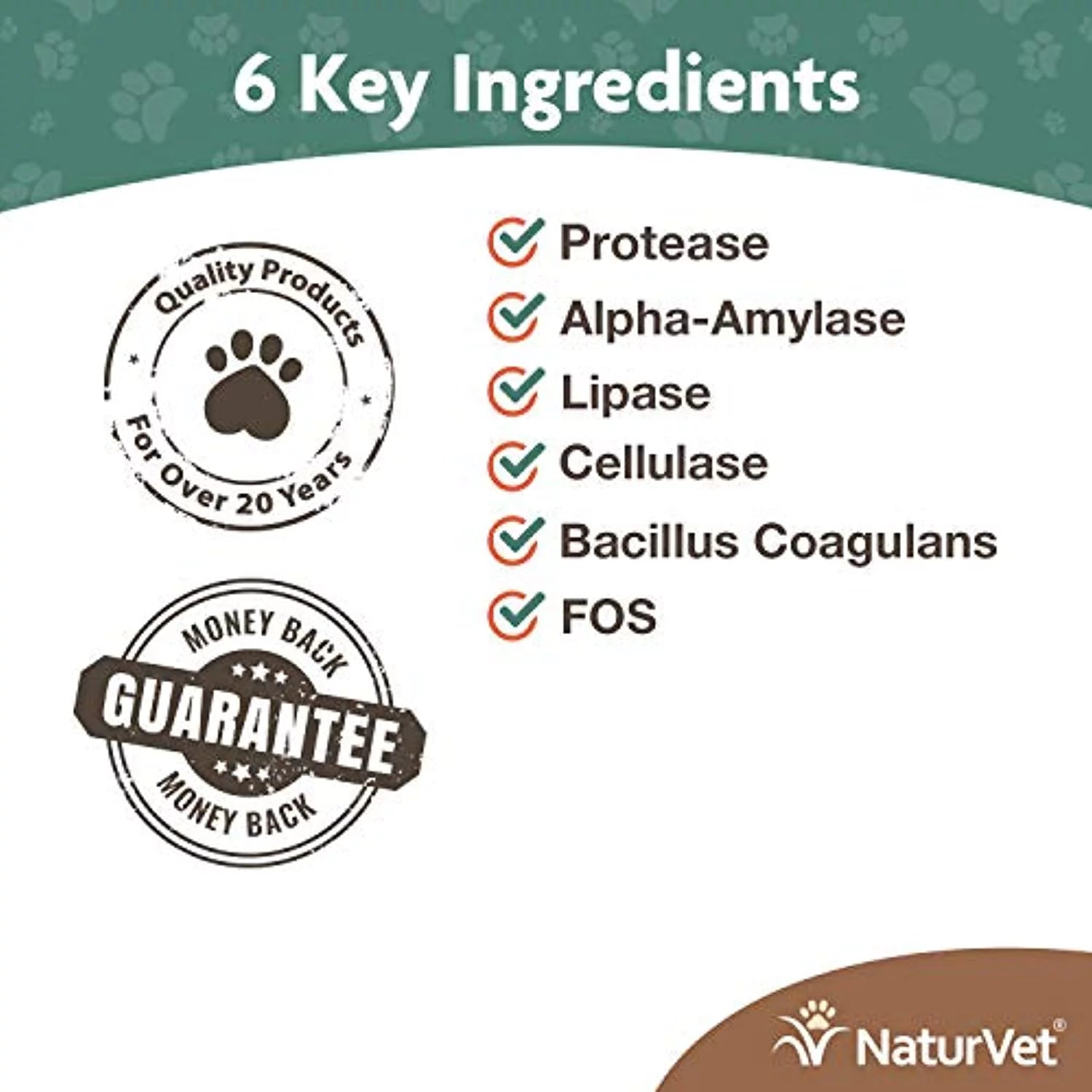 Digestive Enzymes Powder 4 oz C74982