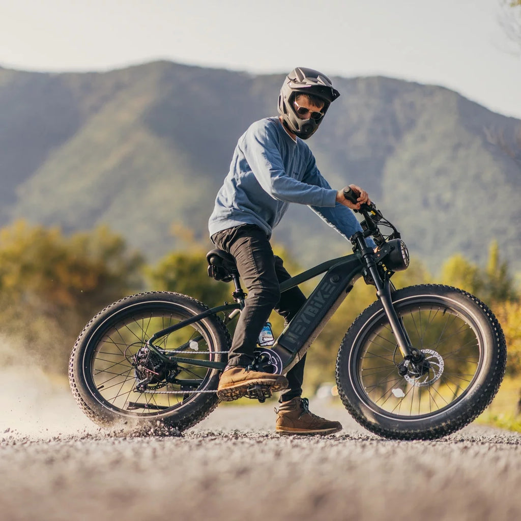 750W Fat Tire Electric Bike with 48V 18Ah Removable Battery N753