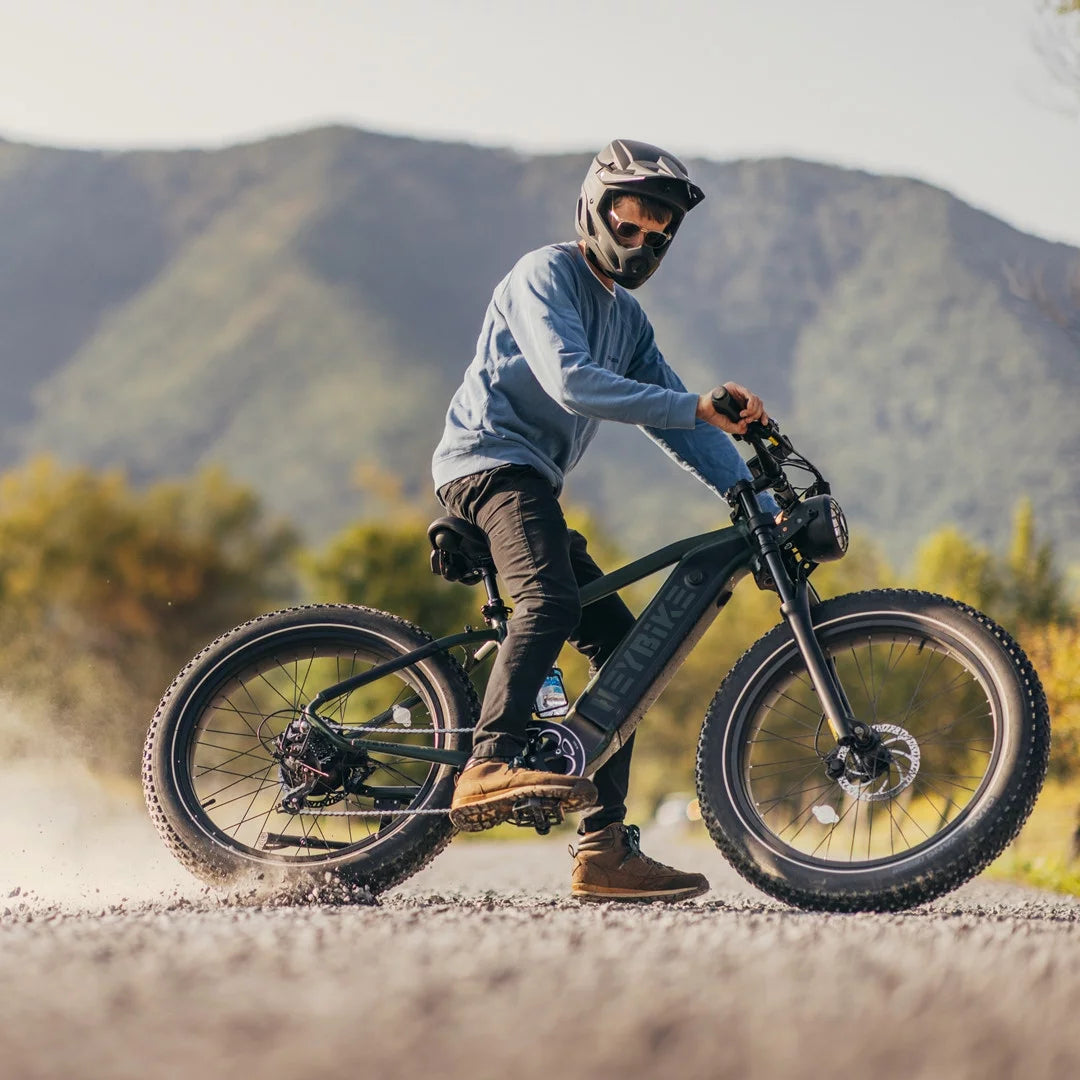 750W Fat Tire Electric Bike with 48V 18Ah Removable Battery N753