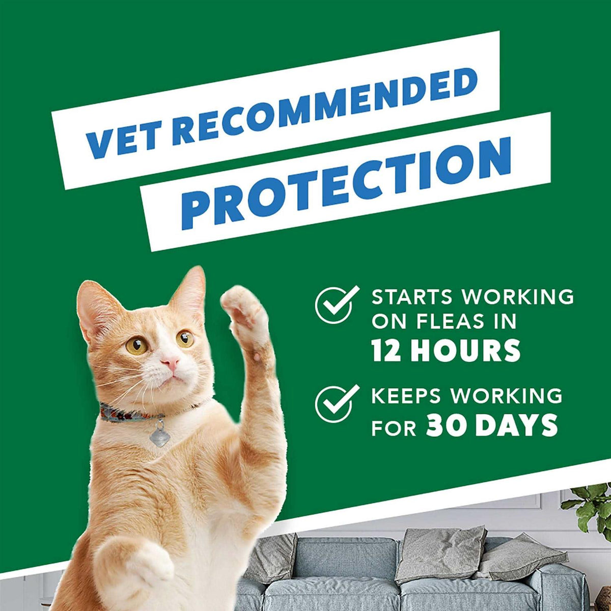 Flea Treatment for Small Cats J52540