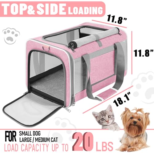 Soft Sided Top Load Collapsible Pet Carrier Bag for Large Cats 20 lbs+ F6686