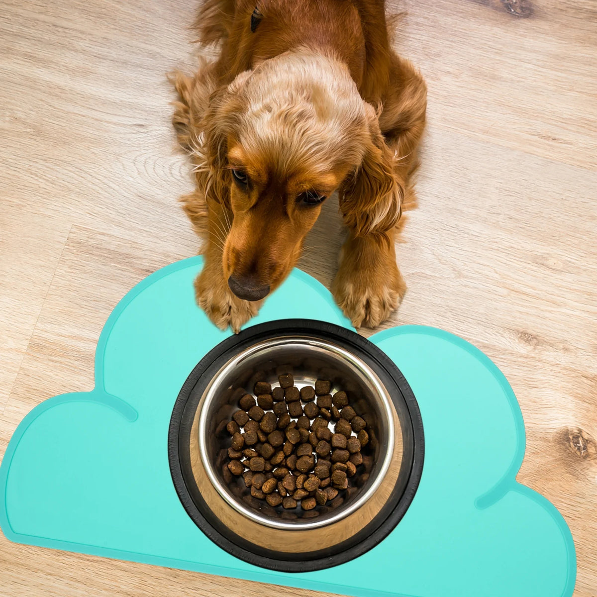 Set of 2 Silicone Pet Placemat E81353