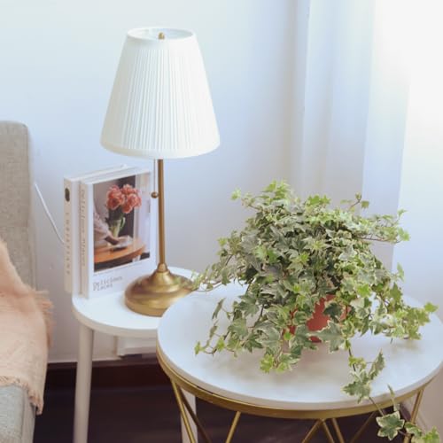 English Ivy (4" Pot) U8087