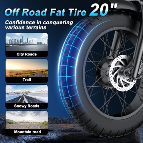 Electric Bike 20" Fat Tire Ebike 48V 20Ah Battery Hydraulic Disc Brake P786