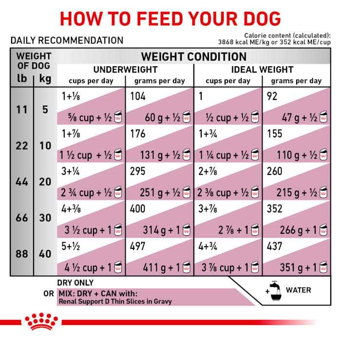 Renal Support Dry Dog Food X619071