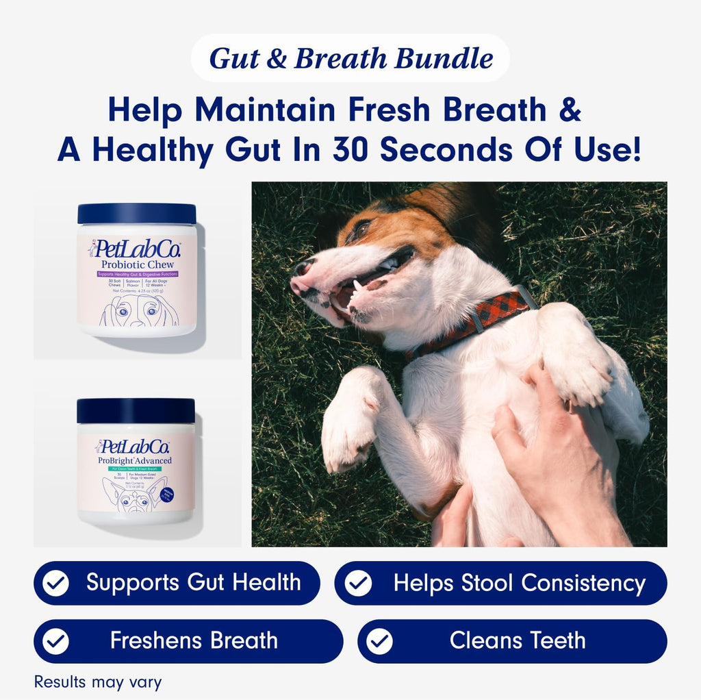 Gut & Breath Bundle: Dental Powder for Fresh Breath, Salmon Dog Probiotics M634921