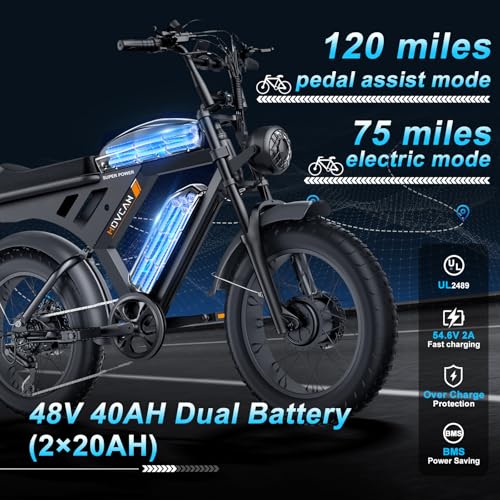 Electric Bike 20" Fat Tire Ebike 48V 20Ah Battery Hydraulic Disc Brake P786