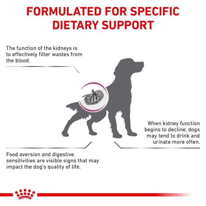 Renal Support Dry Dog Food X619071