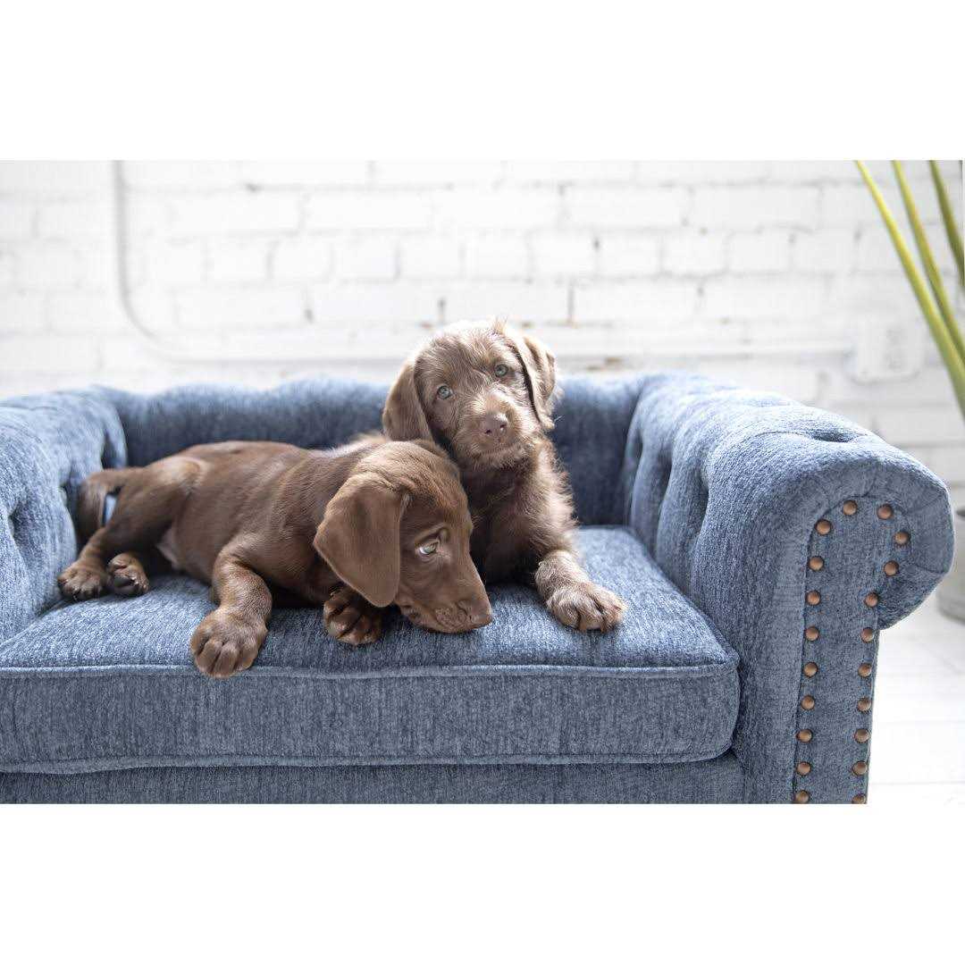 Sofa Dog Bed J396