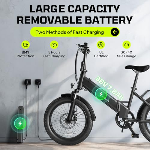 20" Fat Tire Electric Bike with 36V 7.8Ah Removable Battery V906