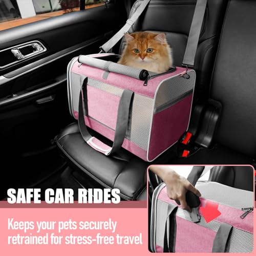 Soft Sided Top Load Collapsible Pet Carrier Bag for Large Cats 20 lbs+ F6686