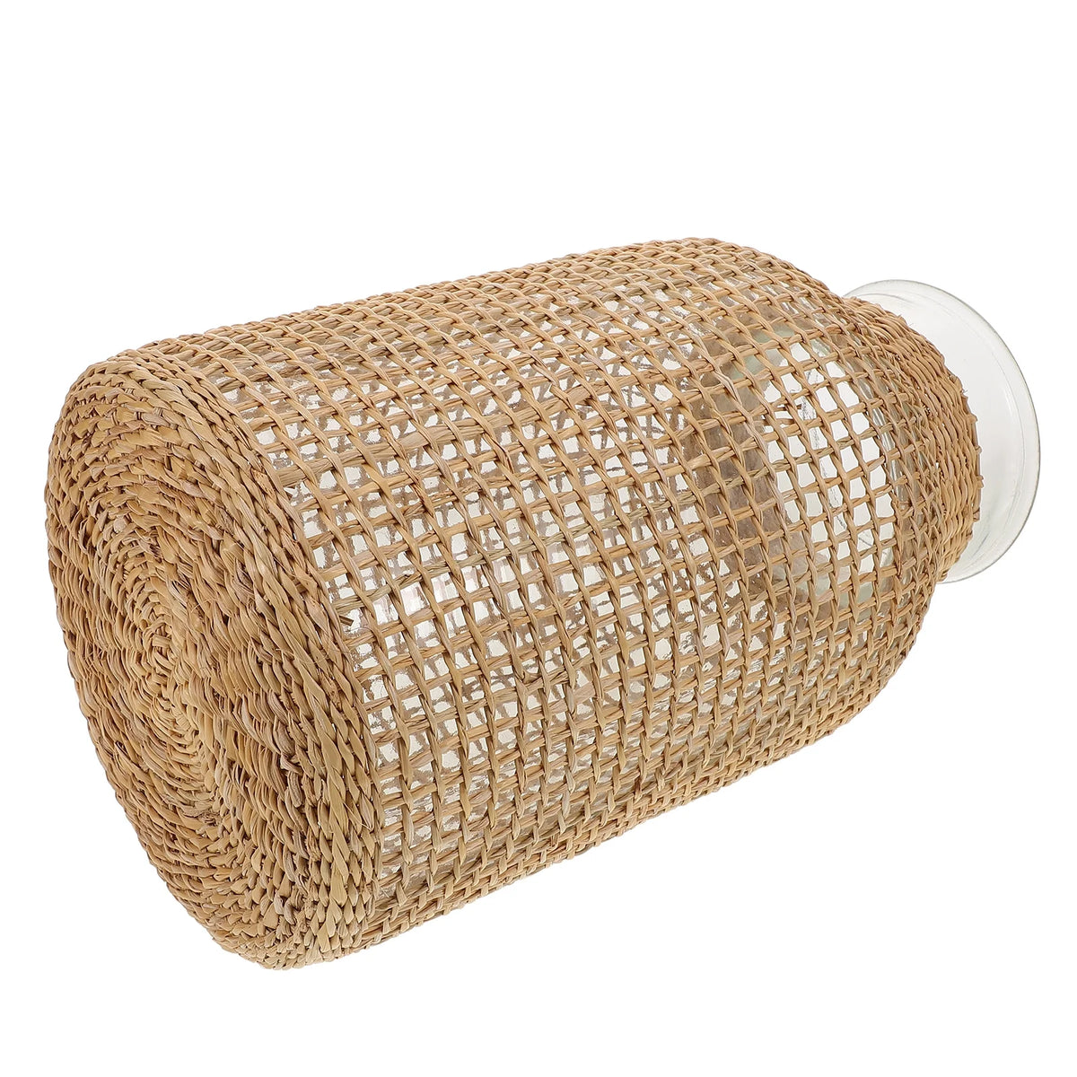 Woven Rattan Glass Vase V825