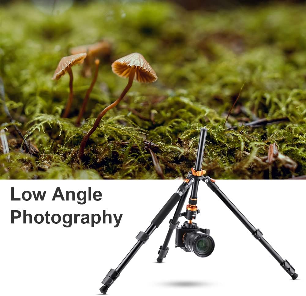 62'' Aluminum Tripod with 360 Panorama Ball Head P760