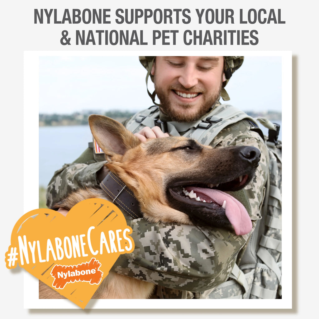 Venison Large Dog Chew Toy Q71063