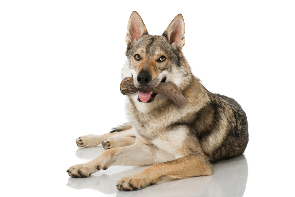 Venison Large Dog Chew Toy Q71063